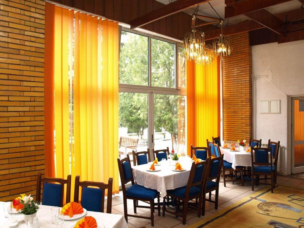 Tratament Balnear 2023 Slanic Prahova Hotel Slanic**