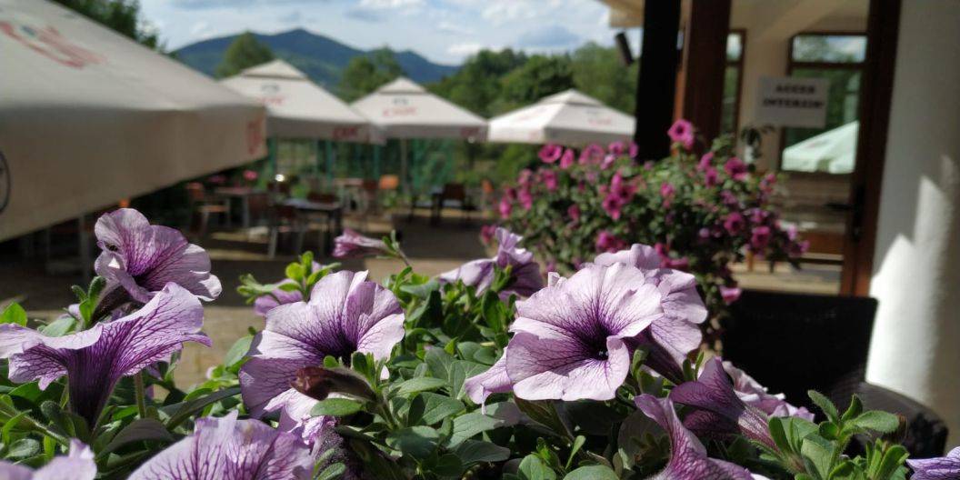 Sarbatori de Craciun 2022 Bucovina Vama Complex Turistic Lidana