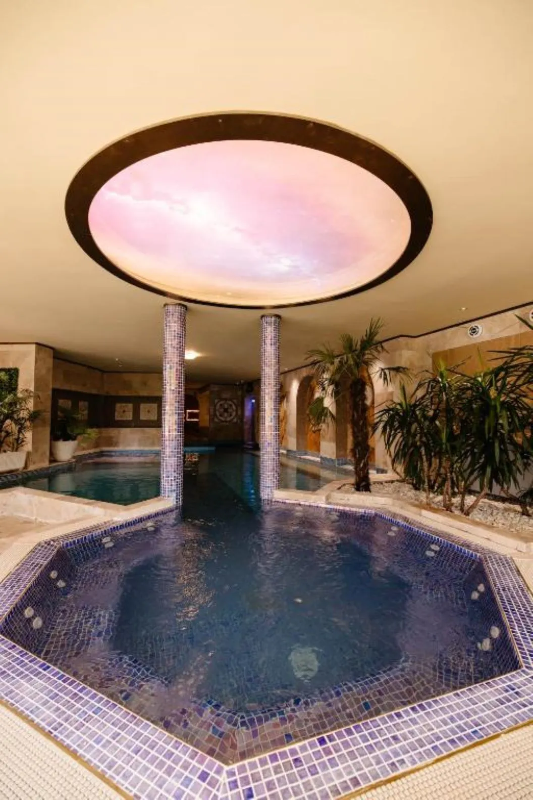 Vata Detox 2026 Complexul Balneo Termal Vata Bai Hotel Phoenix