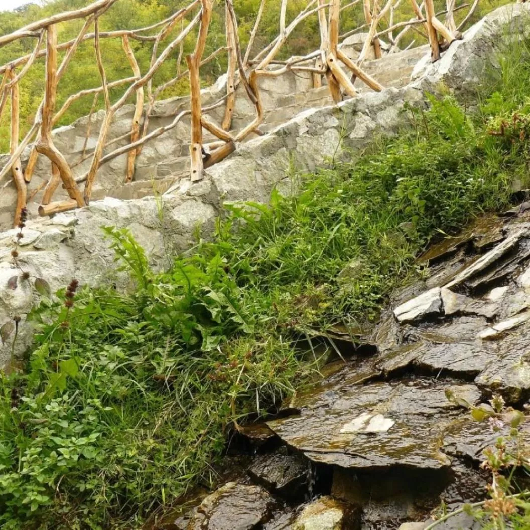 Cazare 2026 Clisura Dunarii Dubova Cabana Delfinul