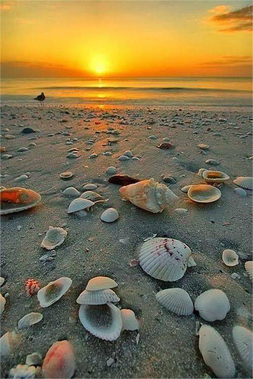 Litoral 2022 Mamaia Hotel Marea Neagra***