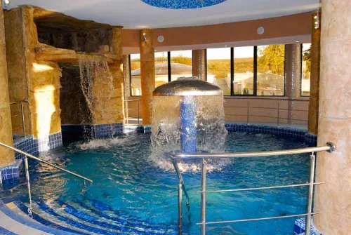 Ziua Femeii 2026 Baile Felix Complex President Corp President SPA