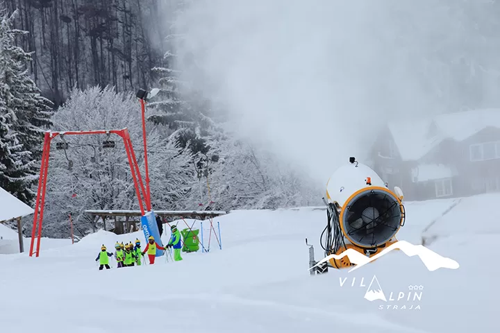 Revelion 2023 la Ski in Straja Vila Alpin***