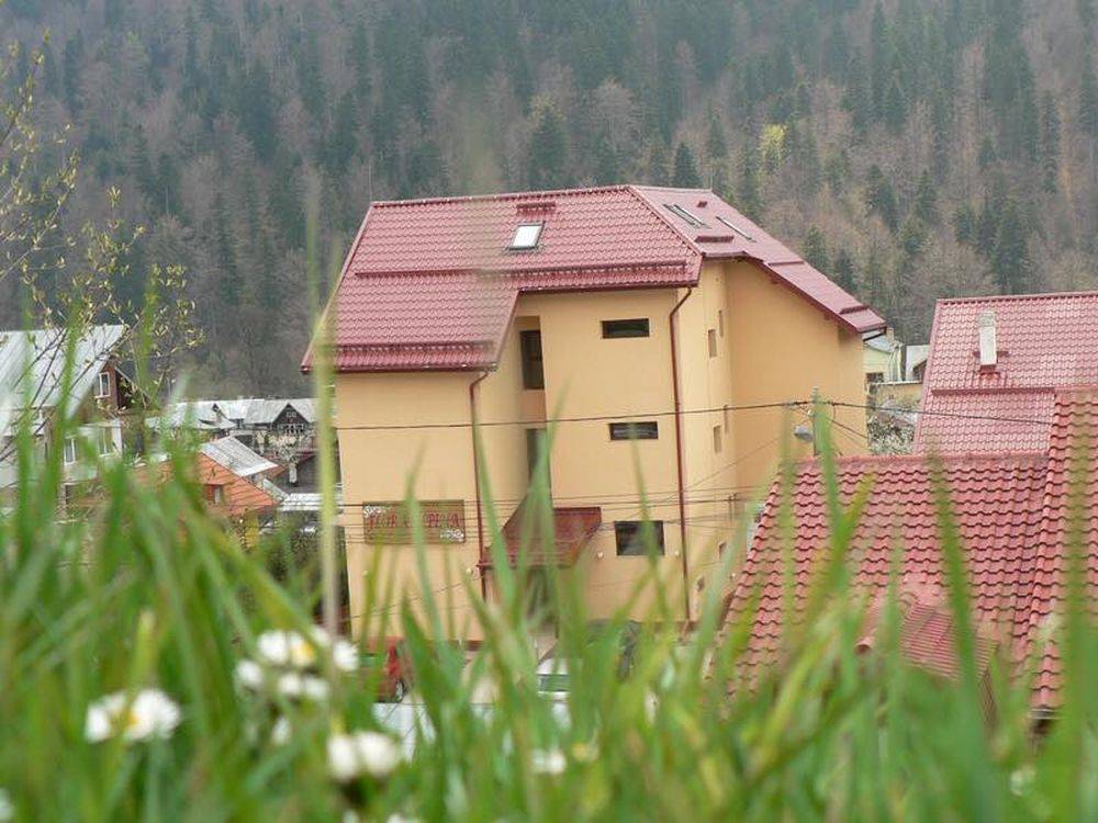 Cazare la Munte 2023 Azuga Pensiunea Flora Alpina****