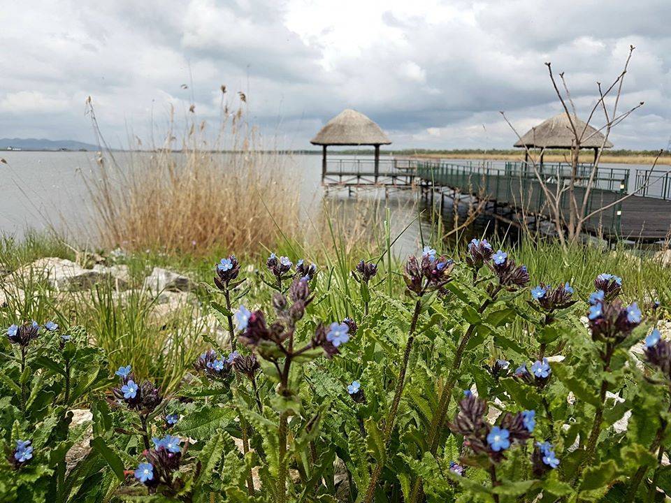 Sejur Delta Dunarii 2023 Murighiol Puflene Resort
