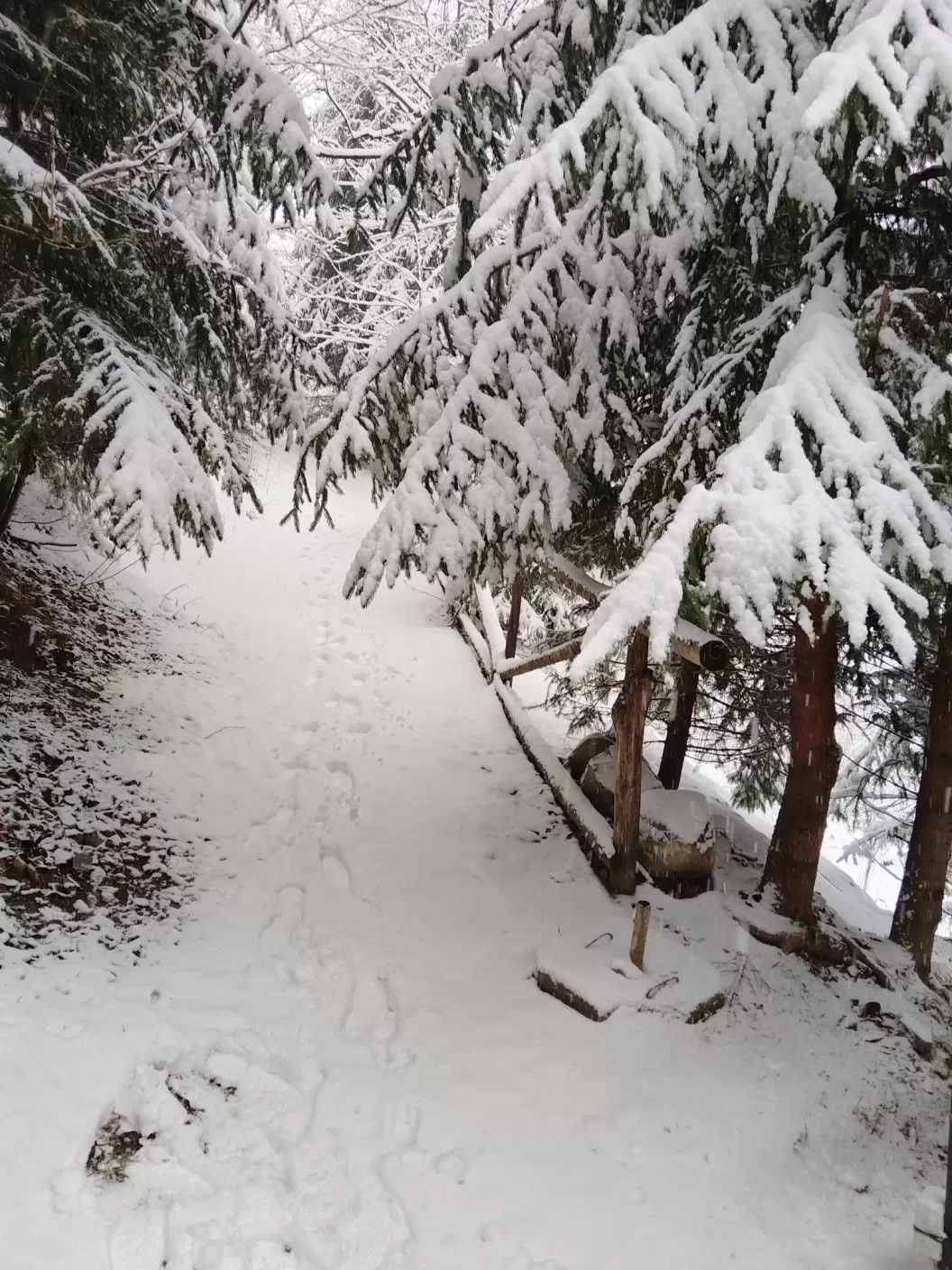 Craciun All Inclusive Traditional la Munte 2025 Marginimea Sibiului Rau Sadului Complex Turistic Nora