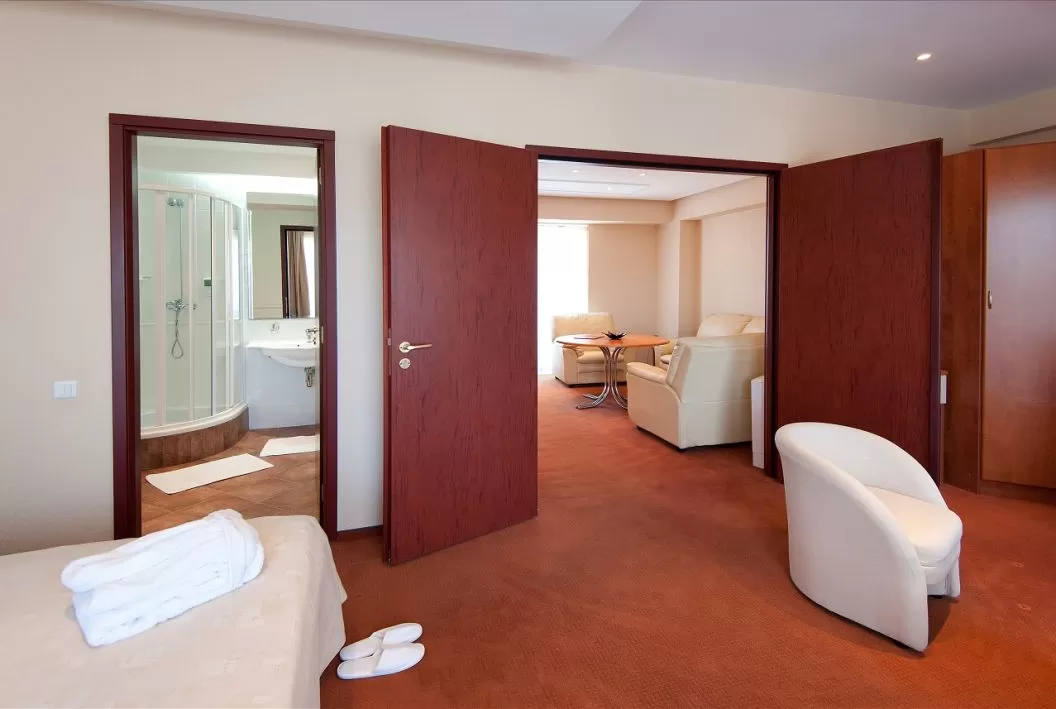 Pachet tratament SPA Rheuma 2023 Olimp Hotel Cocor SPA****
