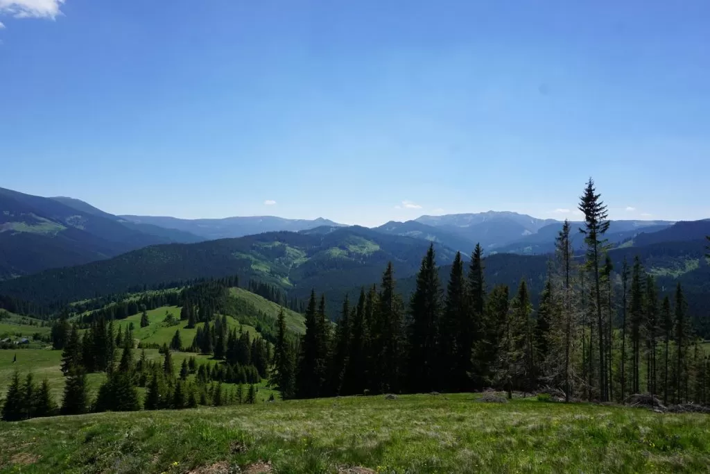 Vacanta 2025 in Bucovina Cacica Pensiunea Casa Domneasca
