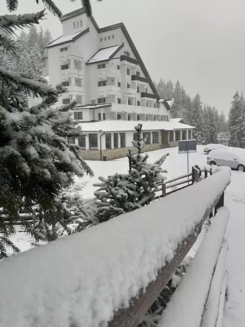 Revelion 2026 in Muntii Rarau Hotel Alpin Rarau