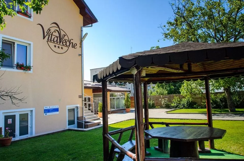 Sejur Hateg Pensiunea Vila Veche