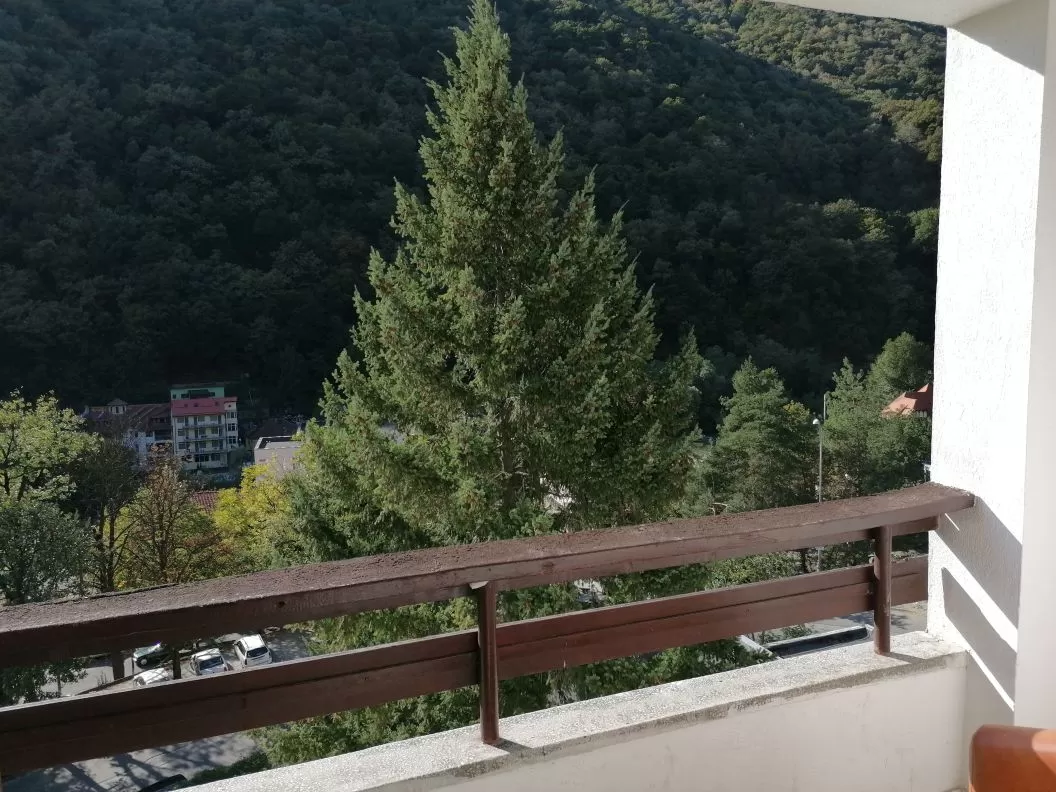 Tratament Balneo Activ 2025 Baile Herculane Hotel Domogled