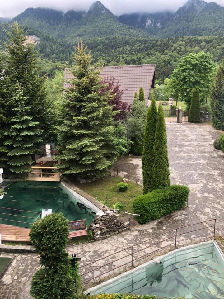 Sejur odihna Busteni Hotel Izvorul cu Pastravi
