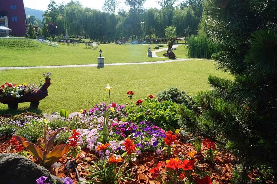 Pachet tratament 2023 Maramures Danesti Hotel Secret Garden**** 