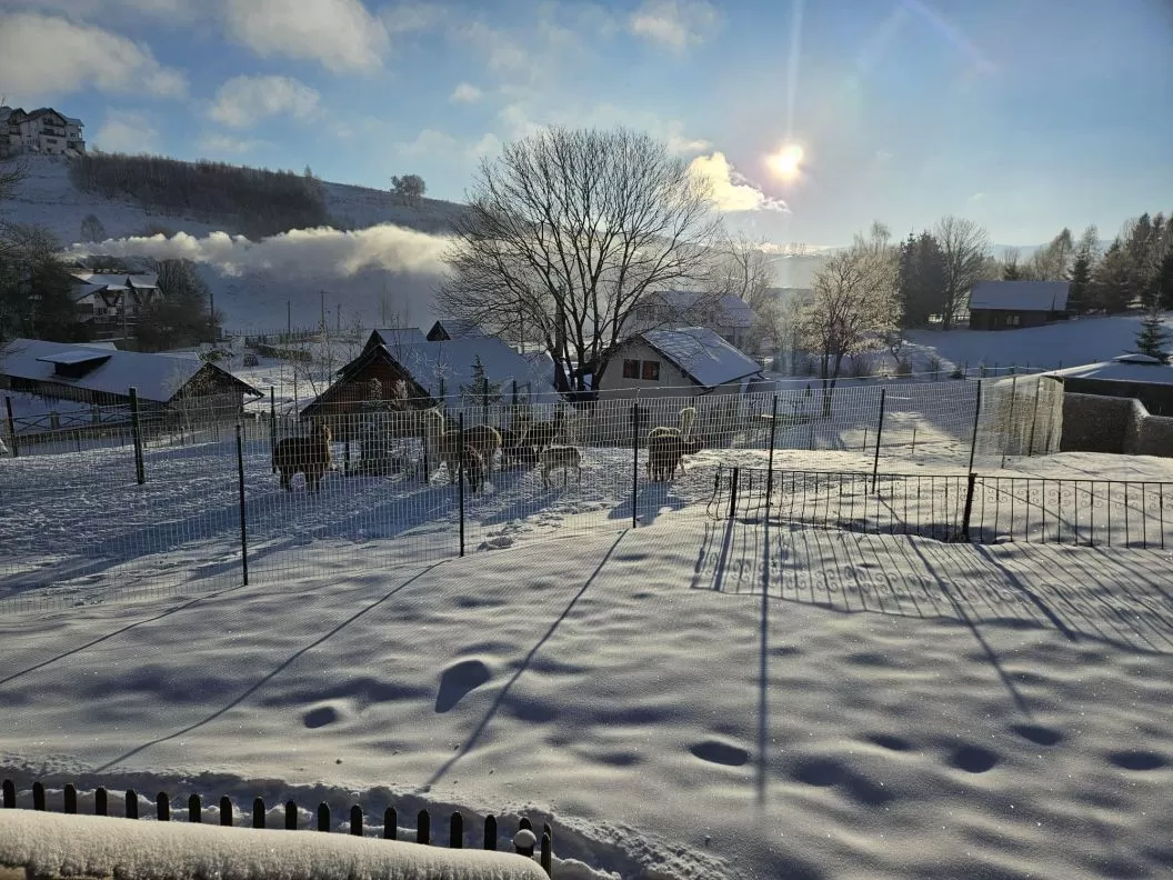 Sarbatori de Pasti 2026 in mijlocul naturii Fundata Sirnea Domeniul Valea Lupilor