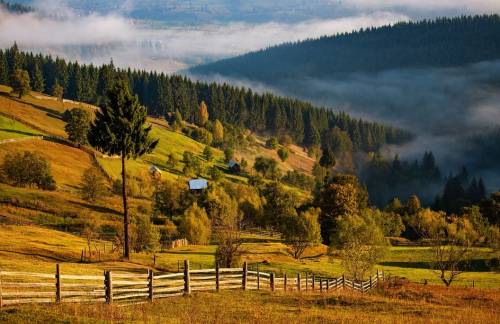 Vacanta in Bucovina 2023 Vatra Dornei Pensiunea Domeniul Stanca***