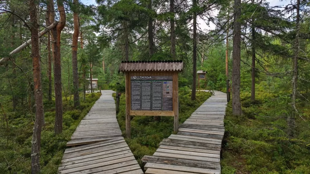 Sarbatori de Pasti 2026 Praid Hotel Altus SPA*** 