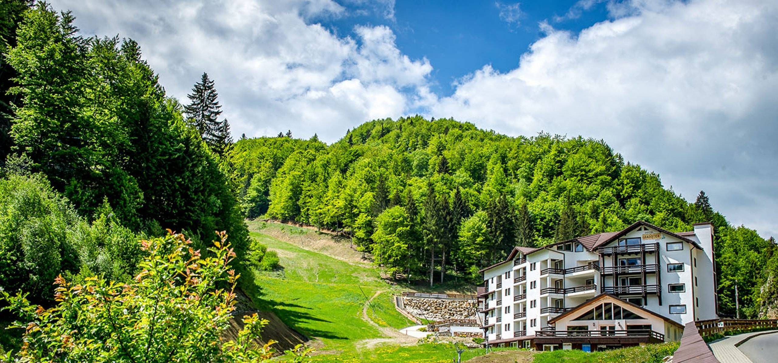 Vacanta la munte 2022 Cheile Gradistei Resort Moieciu***