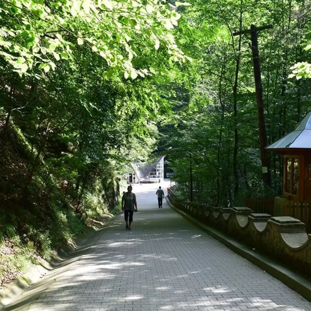 Sa descoperim statiunile cu ape minerale curative din judetul Valcea, benefice pentru sanatate