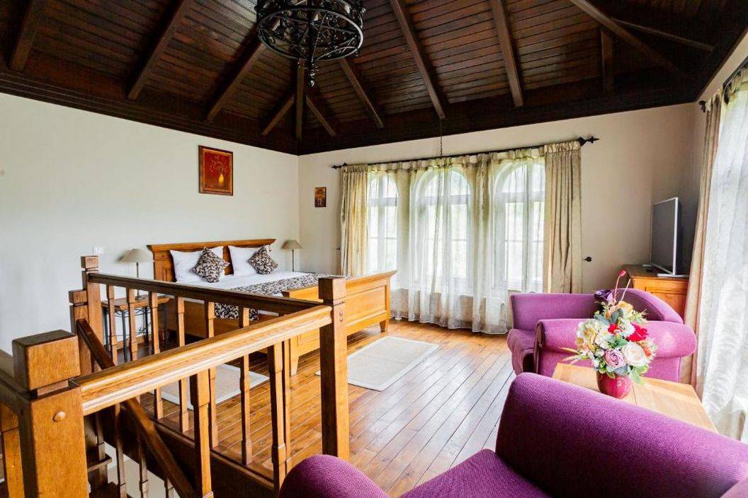 Sejur Odihna 2024 Moieciu de Jos Hotel Turnul