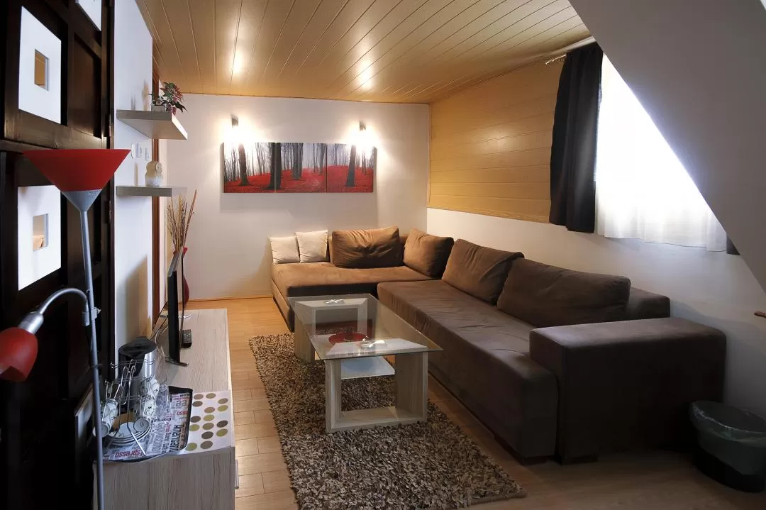 Sejur Ski 2021 -2022 Brzece Serbia Hotel JUNIOR