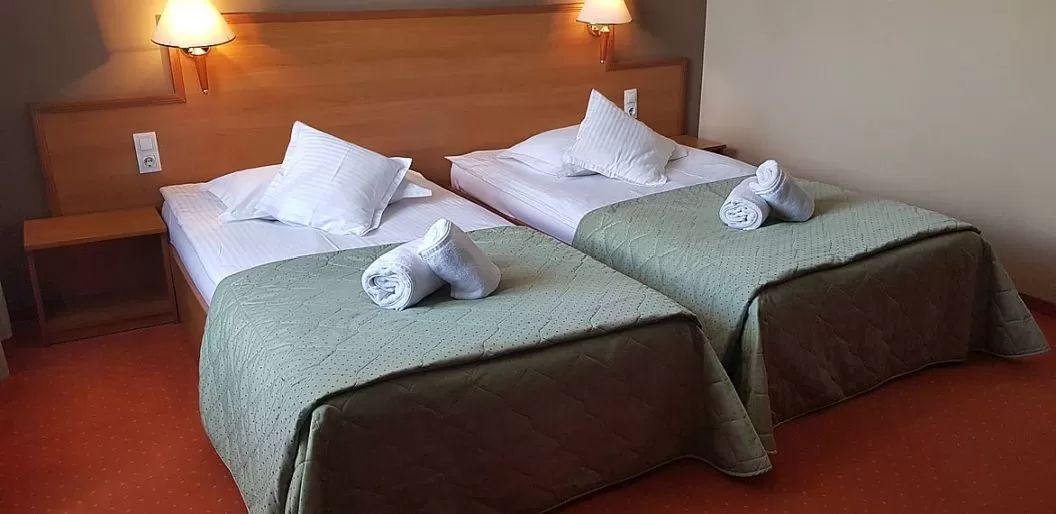 Cazare 2022 Baia Mare Hotel Rivulus***