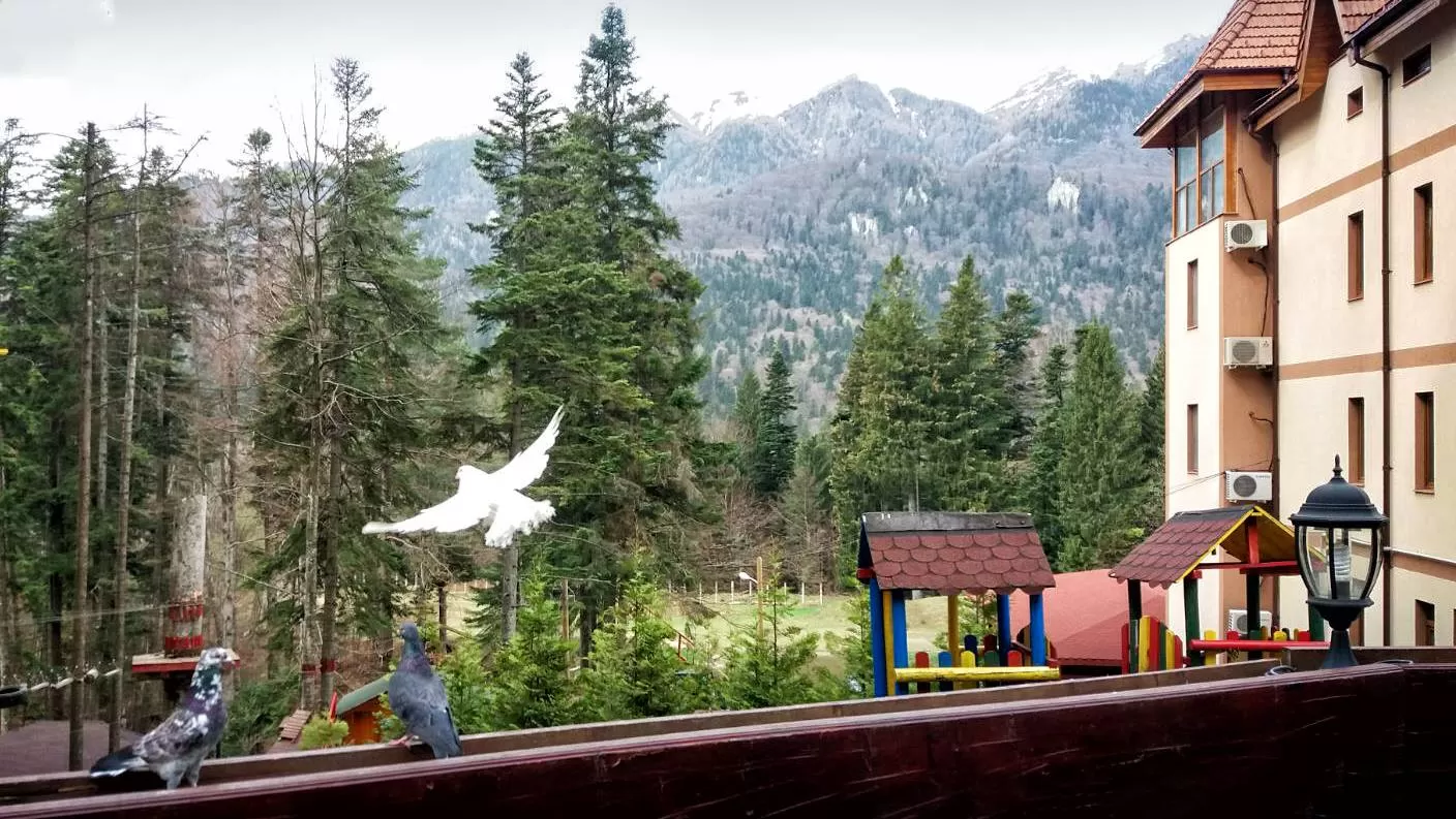 Vacanta la Munte 2023 Sinaia Hotel Cumpatu****