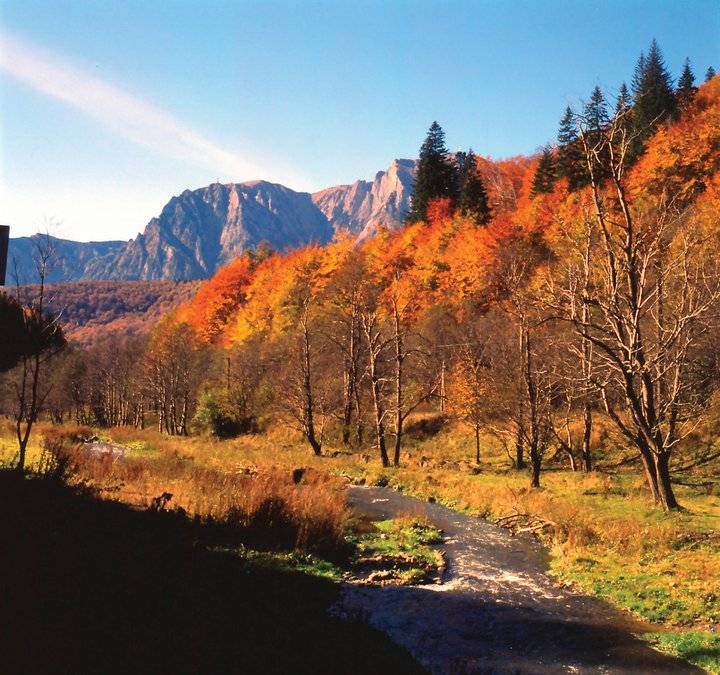 Sejur Odihna 2023 Covasna Hotel Montana***