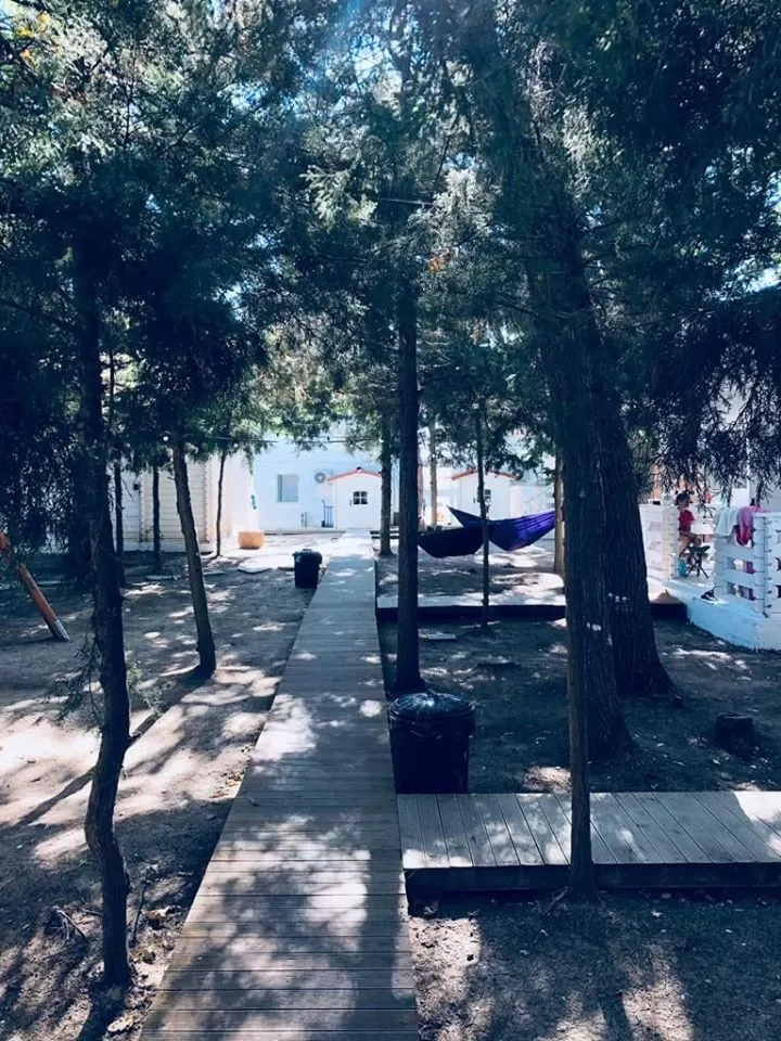 Litoral 2022 Olimp Casa de Mare***