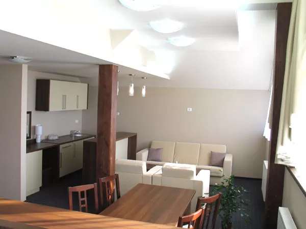 Cazare 2020 Baia Mare – Hotel Euro House*** 