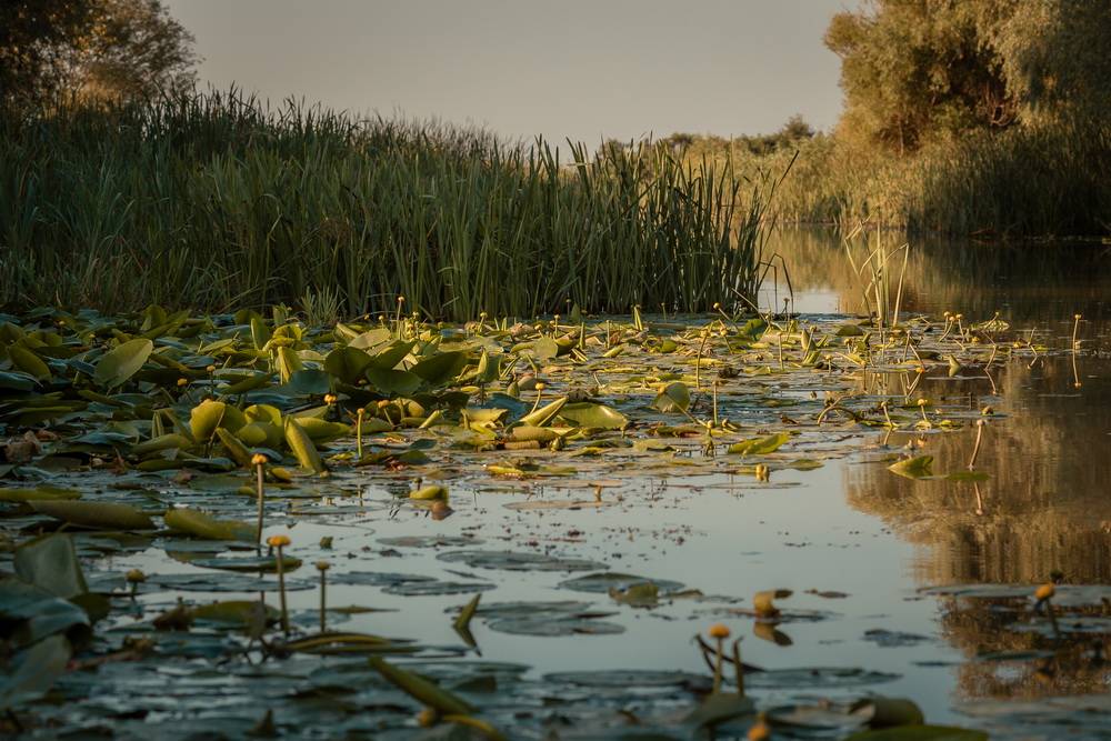 Sarbatori de Pasti 2025 Delta Dunarii Baltenii de Sus RESORT WELS