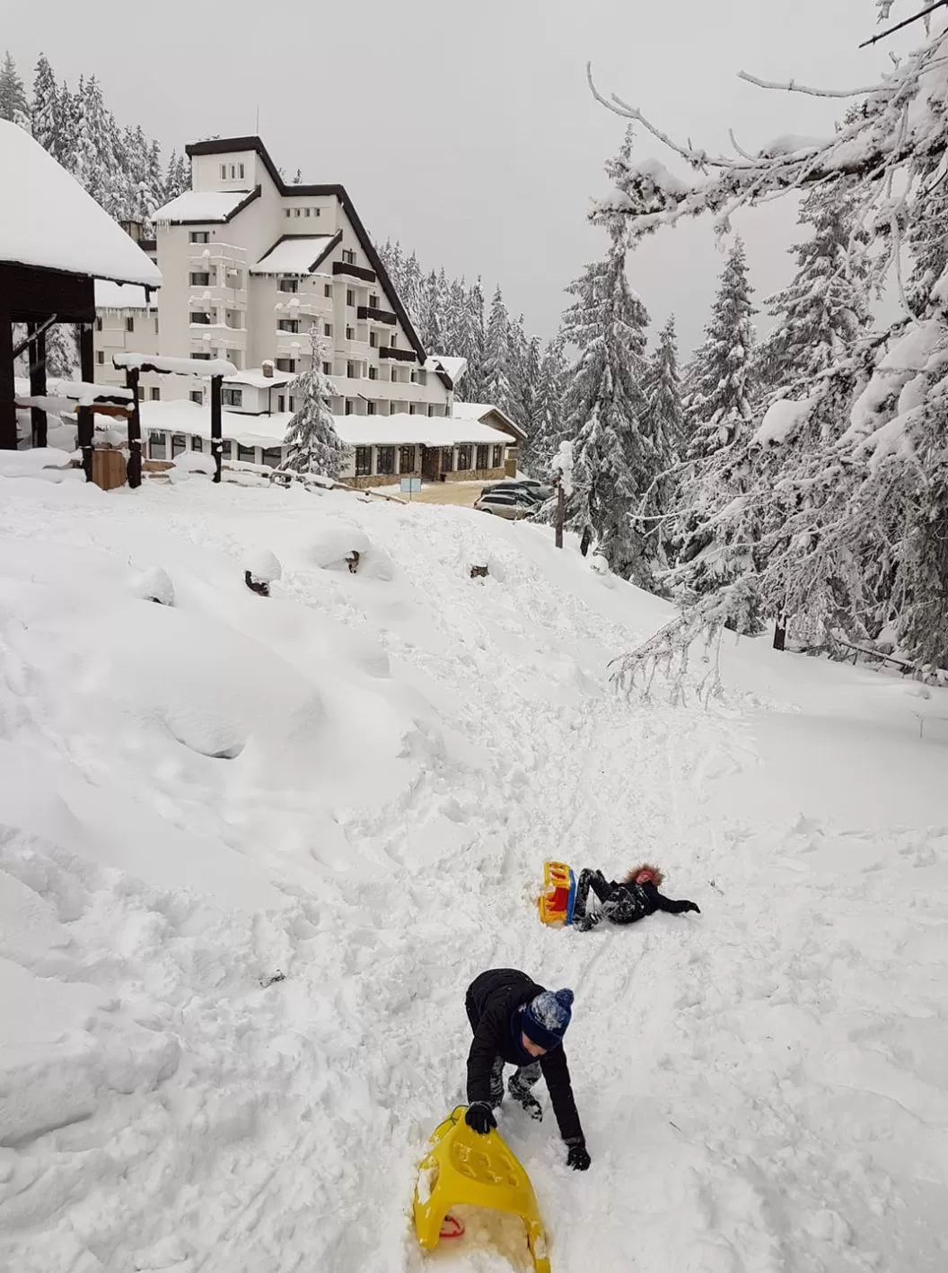 Revelion 2026 in Muntii Rarau Hotel Alpin Rarau