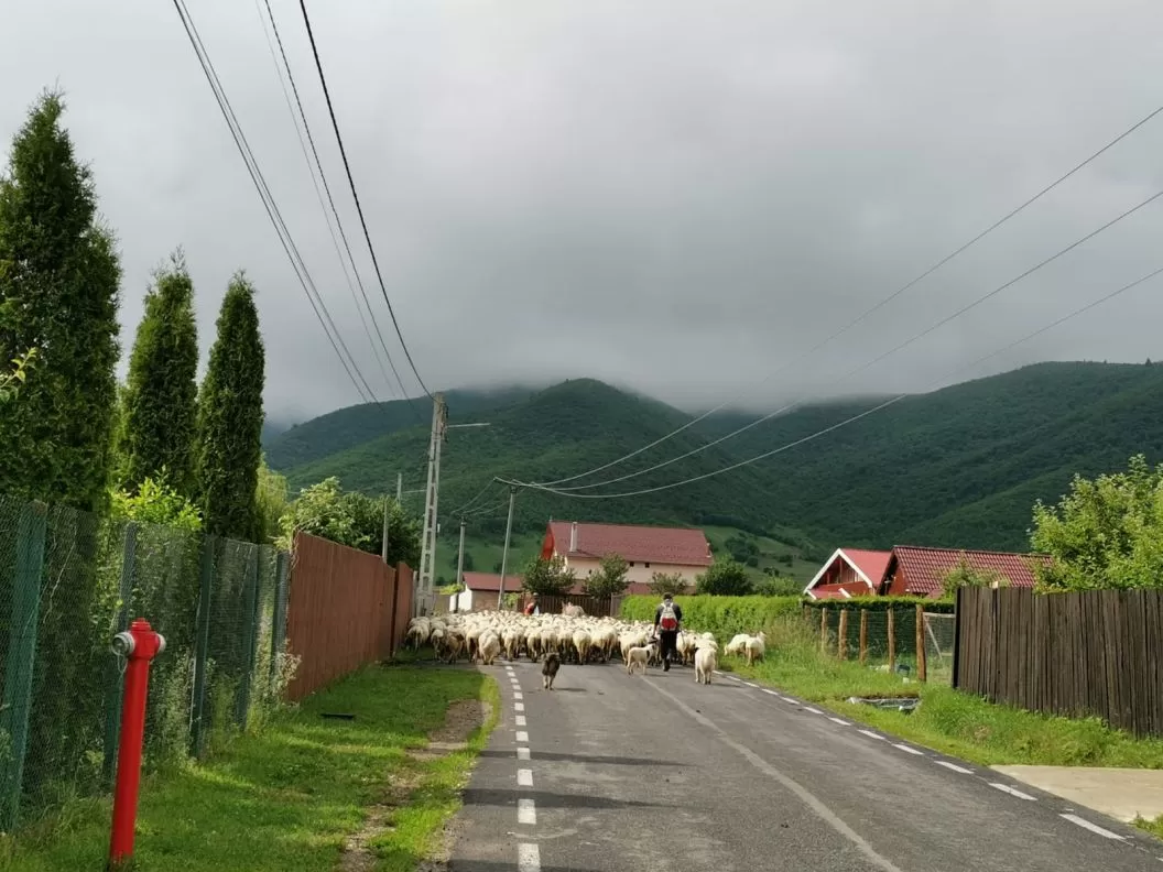 Vacanta in Marginimea Sibiului Gura Raului Pensiunea Norica