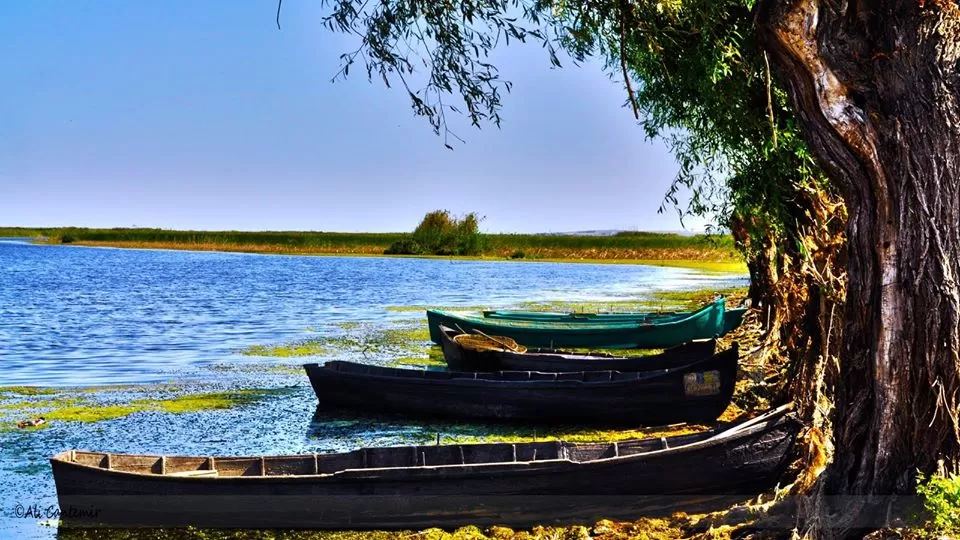 Delectare in Delta Dunarii Maliuc Pensiunea Aqua Villa
