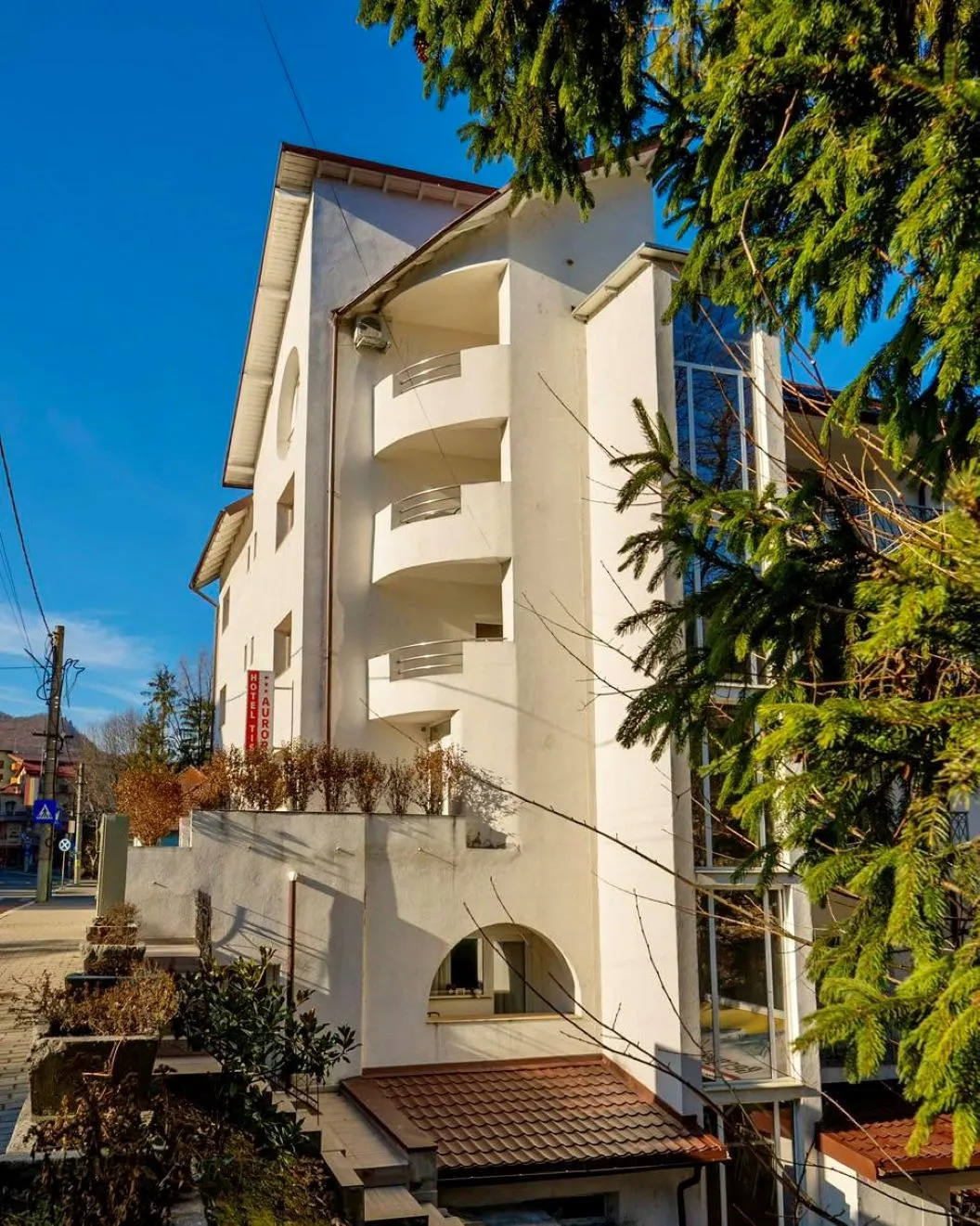 Sarbatori de Craciun 2026 Baile Olanesti Hotel Aurora