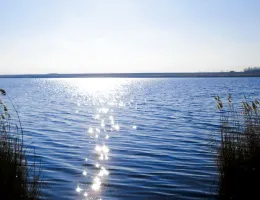 Factori naturali – Sănătate, Relaxare și Energie Regăsită
