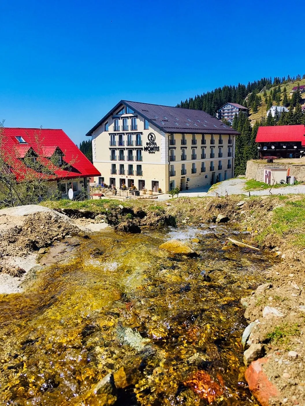 Vacanta 2026 la munte Muntele Mic Hotel Montis**** 