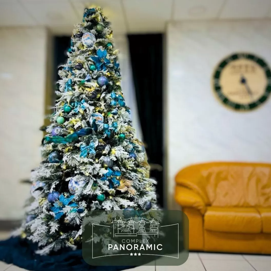 Craciunul 2025 in Slanic Moldova Complex Panoramic