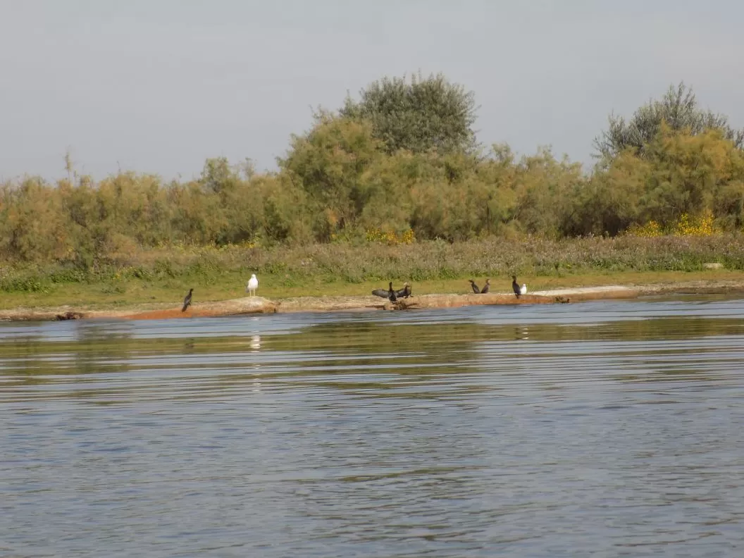 Sarbatori de Pasti 2025 Delta Dunarii Crisan Pensiunea Ovidiu