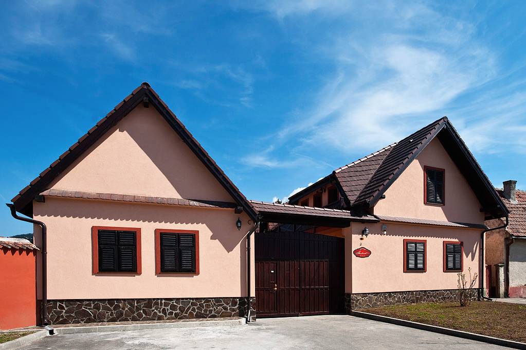 Vacanta la munte 2021-2022 Cristian Brasov Vila Ambient*****