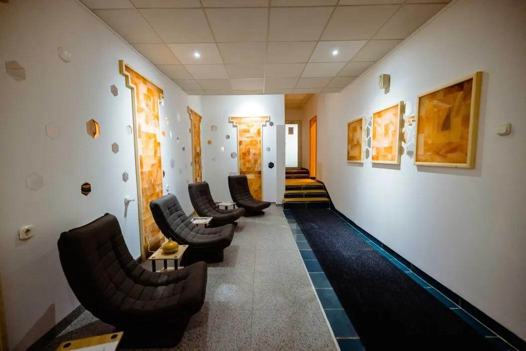 Vata Detox 2026 Complexul Balneo Termal Vata Bai Hotel Phoenix