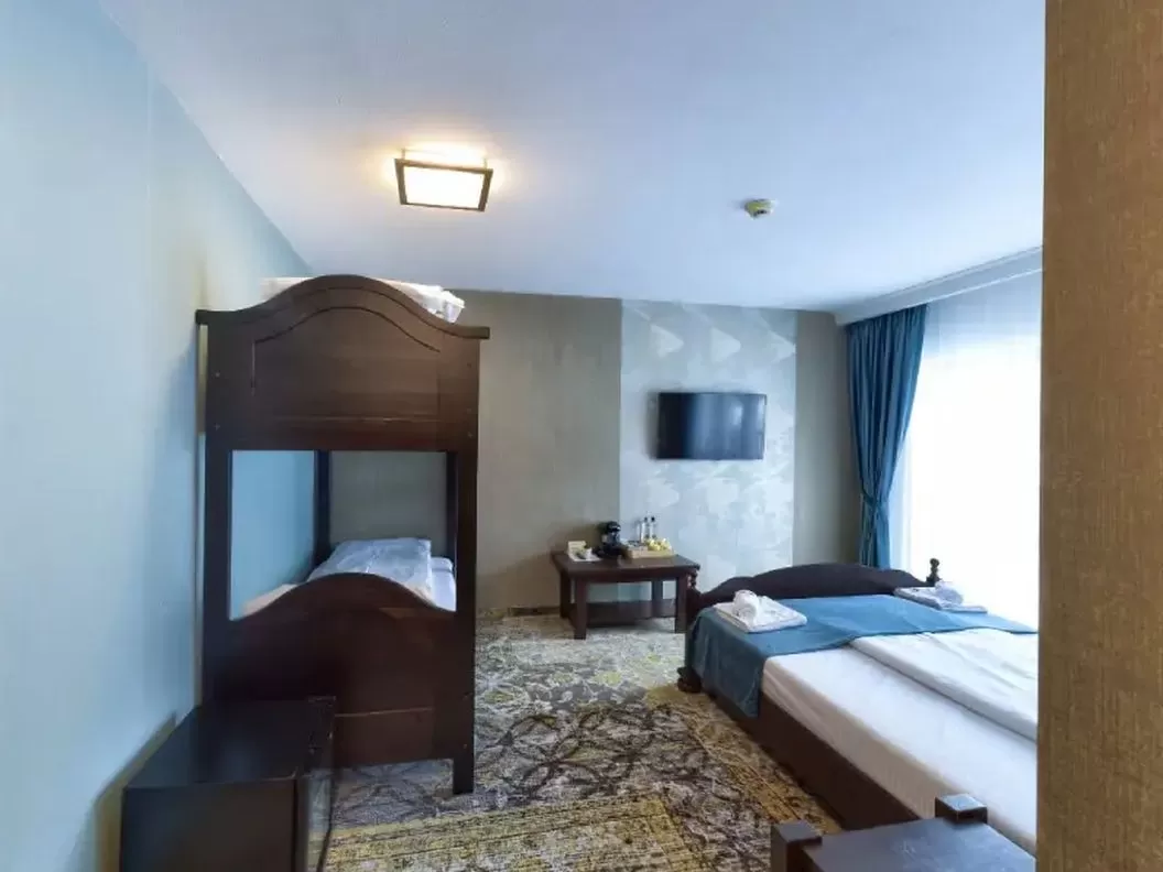 Revelion 2025 in Muntii Sureanu Hotel Poarta Raiului