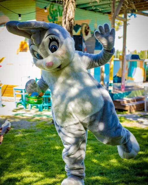 Sarbatori de Pasti 2026 Olimp Hotel Novum by the Sea Sarbatori de Pasti 2026 Olimp Hotel Novum by the Sea