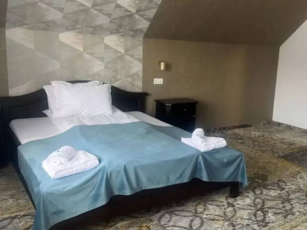 Revelion 2025 in Muntii Sureanu Hotel Poarta Raiului