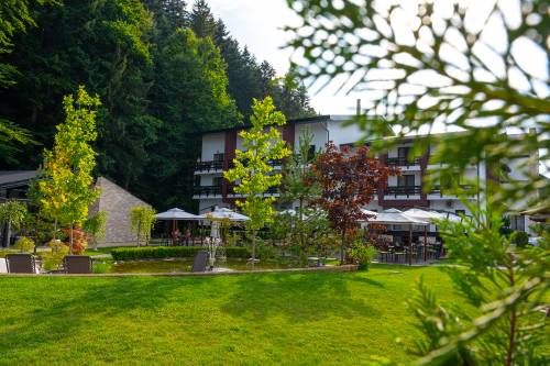 Vacanta in Bucovina Voronet Hotel Piatra Pinului**** 