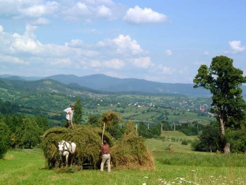 Vacanta 2023 in Bucovina Manastirea Humorului Pensiunea Andreea***