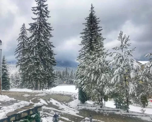 Vacanta Ski 2026 Predeal Hotel Rozmarin