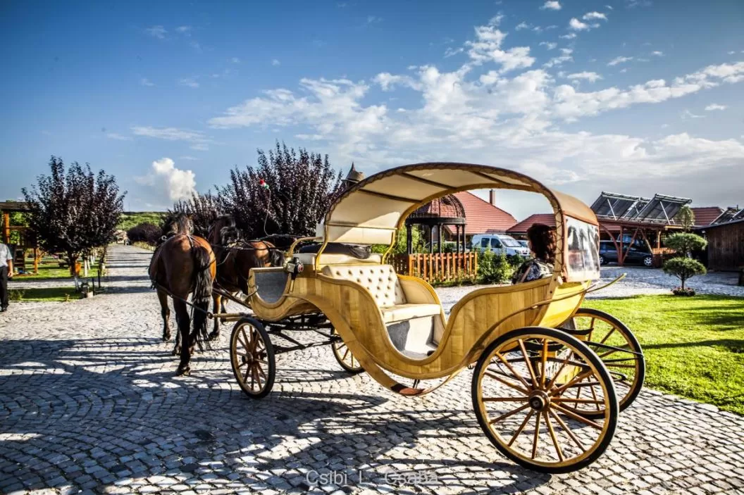 Pachet de relaxare pentru Seniori in Ardeal – Ogra Mures Castel Haller****