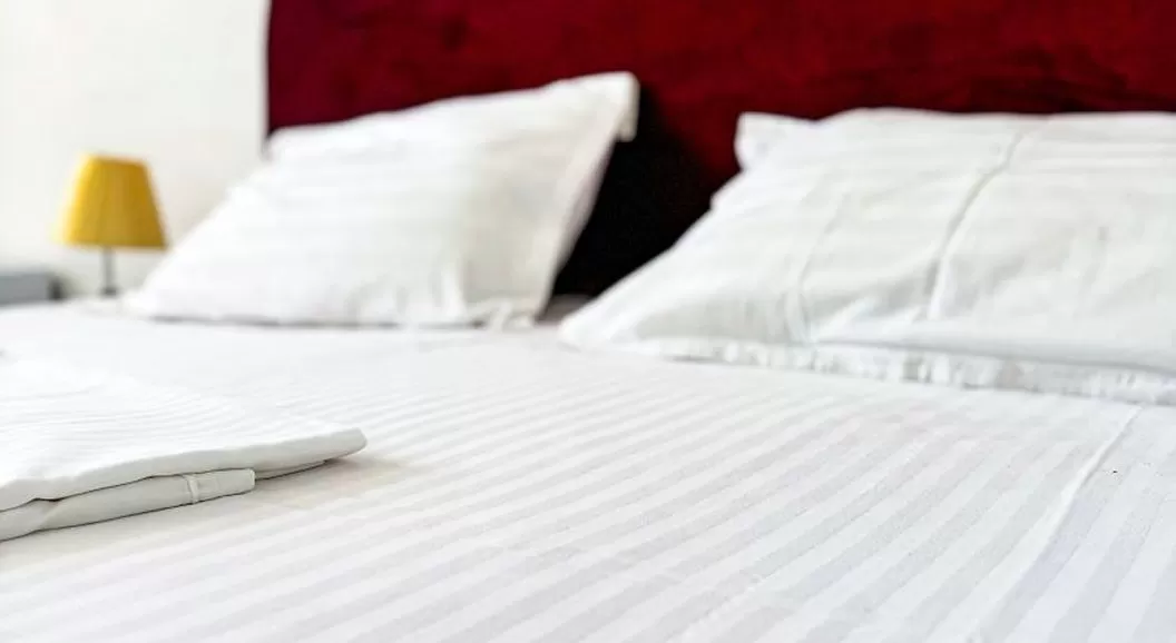 Litoral 2026 Saturn Hotel Neko