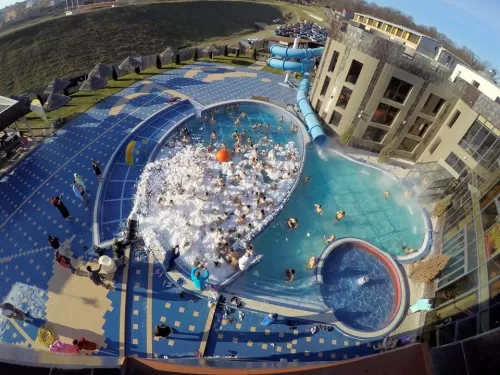 Ziua Femeii 2026 Baile Felix Complex President Corp President Business**** 