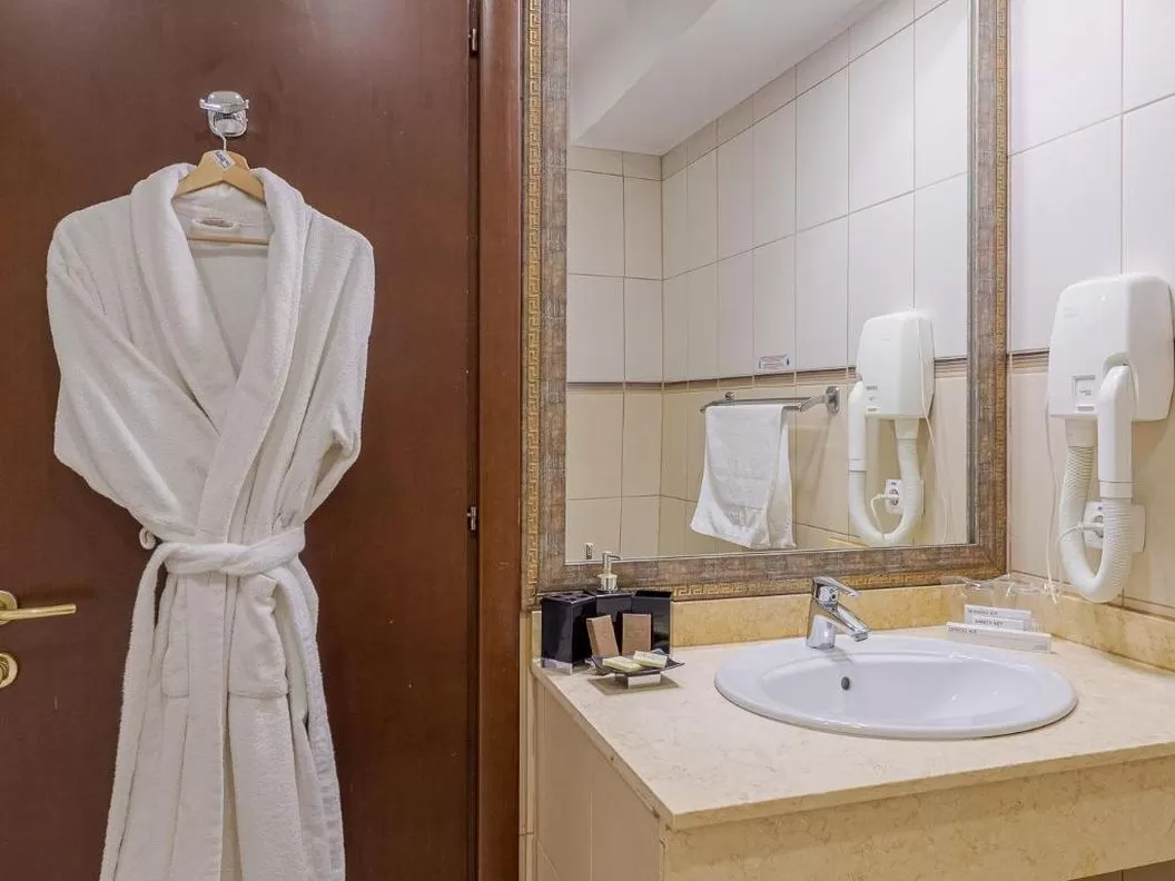 Cazare Bucuresti Rin Airport Hotel****
